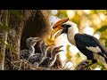 This Tropical Bird Does Something Absolutely Insane