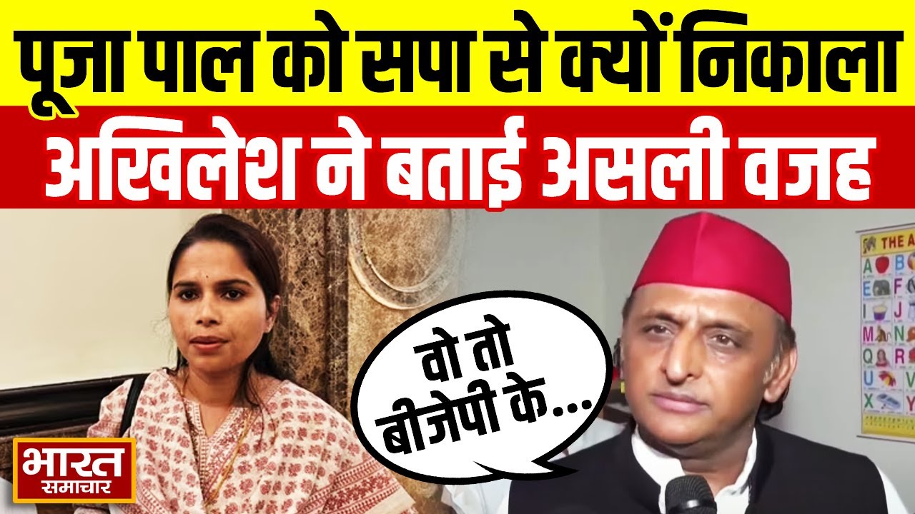 Samajwadi Party ने क्यों Pooja Pal को क्यों पार्टी से किया निष्काषित, खुद Akhilesh Yadav ने बताया...