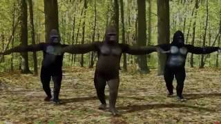Minnos oynayan goriller maymunlar erzurum havasi Resimi