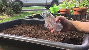 Fast-Growing Trees Unboxing