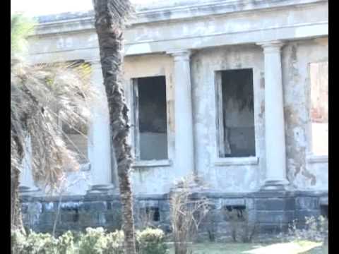 ქართული მაცესტა