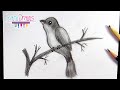 Cómo dibujar un AVE con LÁPIZ - How to draw a BIRD with PENCIL