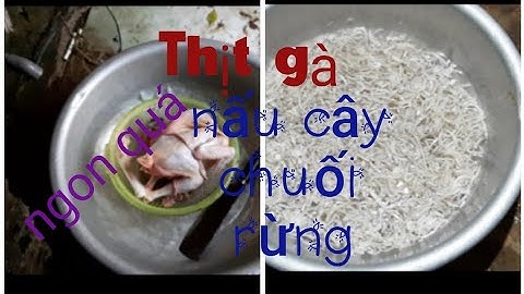 Cây chuối rừng nấu với thịt gà rất ngon.Ẩm thực tv.