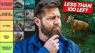 27 dieren die op het punt staan ​​uit te sterven