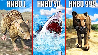 :      GTA 5!