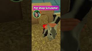 A THIEF in my PET SHOP!! 🐹 (Pet Shop Simulator)
