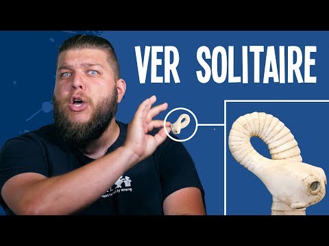 Vidéo: Qui les ténias se protègent-ils ?