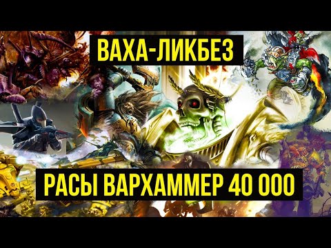 Видео: Расы Warhammer 40000. Ваха-ликбез. Ork-FM @Gexodrom