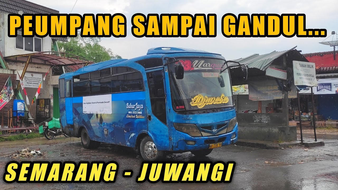 PENUMPANG FULL SAMPAI GANDUL GANDUL I Trip Godong - Juwangi Bus SUBUR JAYA 