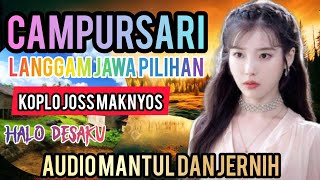 1 JAM NONSTOP #langgamjawa  CAMPURSARI KOPLO  ENAK DIDENGAR TANPA IKLAN @halodesaku77