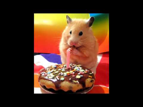 alles-gute-zum-geburtstag