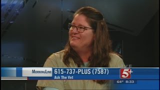 MorningLine: Ask The Vet (October) P.3