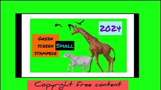 Green Screen Small Stampede 2024