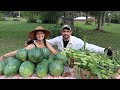 We were COMPLETELY SHOCKED!  The WATERMELON and SWEET CORN are READY for HARVEST!