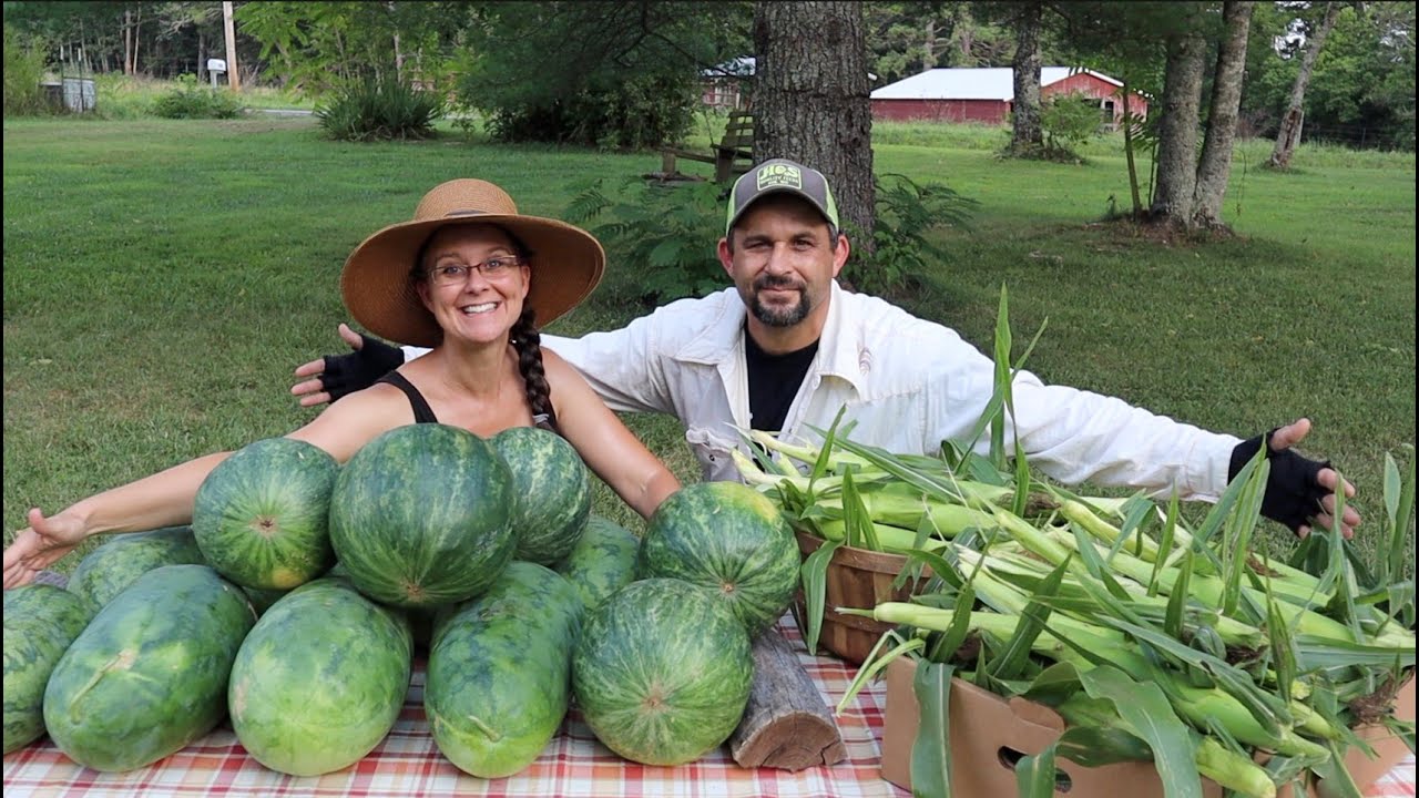We were COMPLETELY SHOCKED! The WATERMELON and SWEET CORN are READY for
