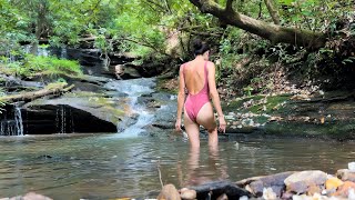 The quiet work of healing a tired heart 🌿 nature asmr ・ #56