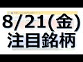 【8月21日(金)の注目銘柄】本日の株式相場振り返りと明日の注目銘柄を解説