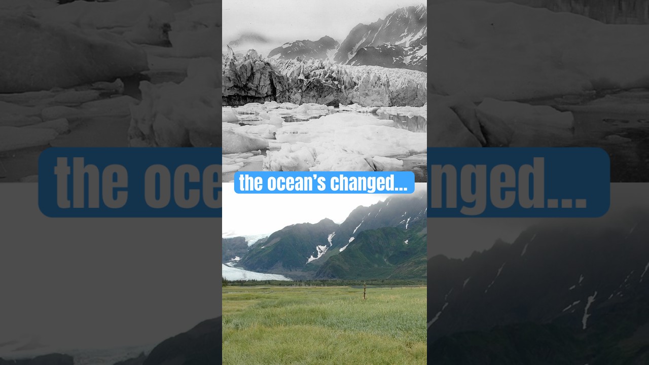 the ocean then vs now | 