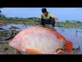 Best Fisherman Found And Caught Red Fish In Secret Mud On Winter Season For Food.