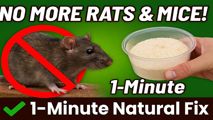 How to Get Rid of Mice and Rats Within 60 seconds | No Poison or Traps Needed!