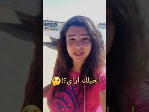 المراكبية مطلعوش سهلين يا جماعة  معلومات 2022 مصر  بحر  كوميديا 