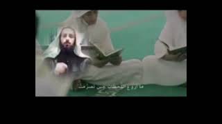 #طعوم_الشيخ عبد القادر وهبي