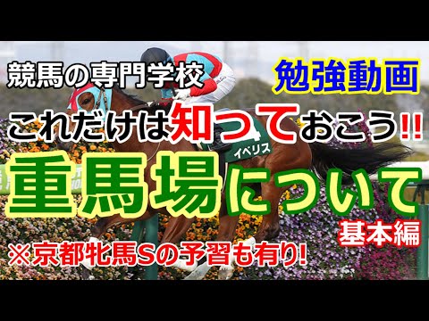 【競馬】重馬場の基本的な考え方 京都牝馬S予習動画 これだけは知っておこう 【競馬の専門学校】