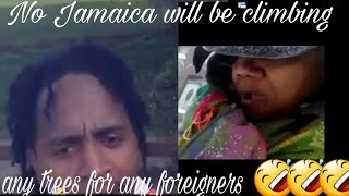 Jamaican man stick out on foreigner for calling them beggy beggy/Says Trump fi kickout mean Jamaican