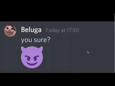 If Beluga Owned The Internet (97.6% epic) 