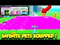 Buying The INFINITE PETS EQUIPPED GAMEPASS In Pet Simulator X!! *INSANE*