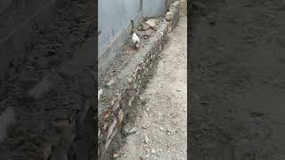 забор из дикого камня #своимируками