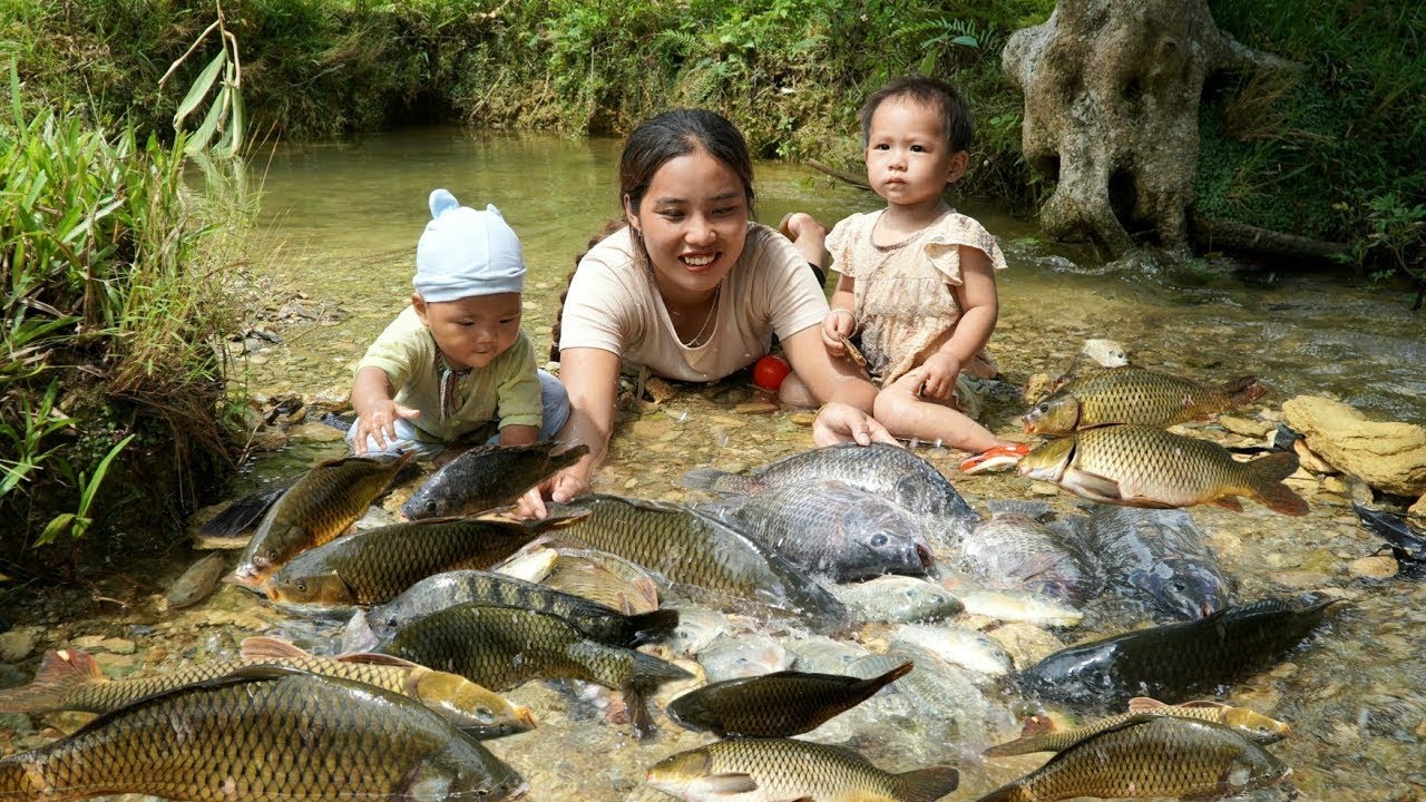 Single mother Journey with children to catch fish, trap fish - make ...