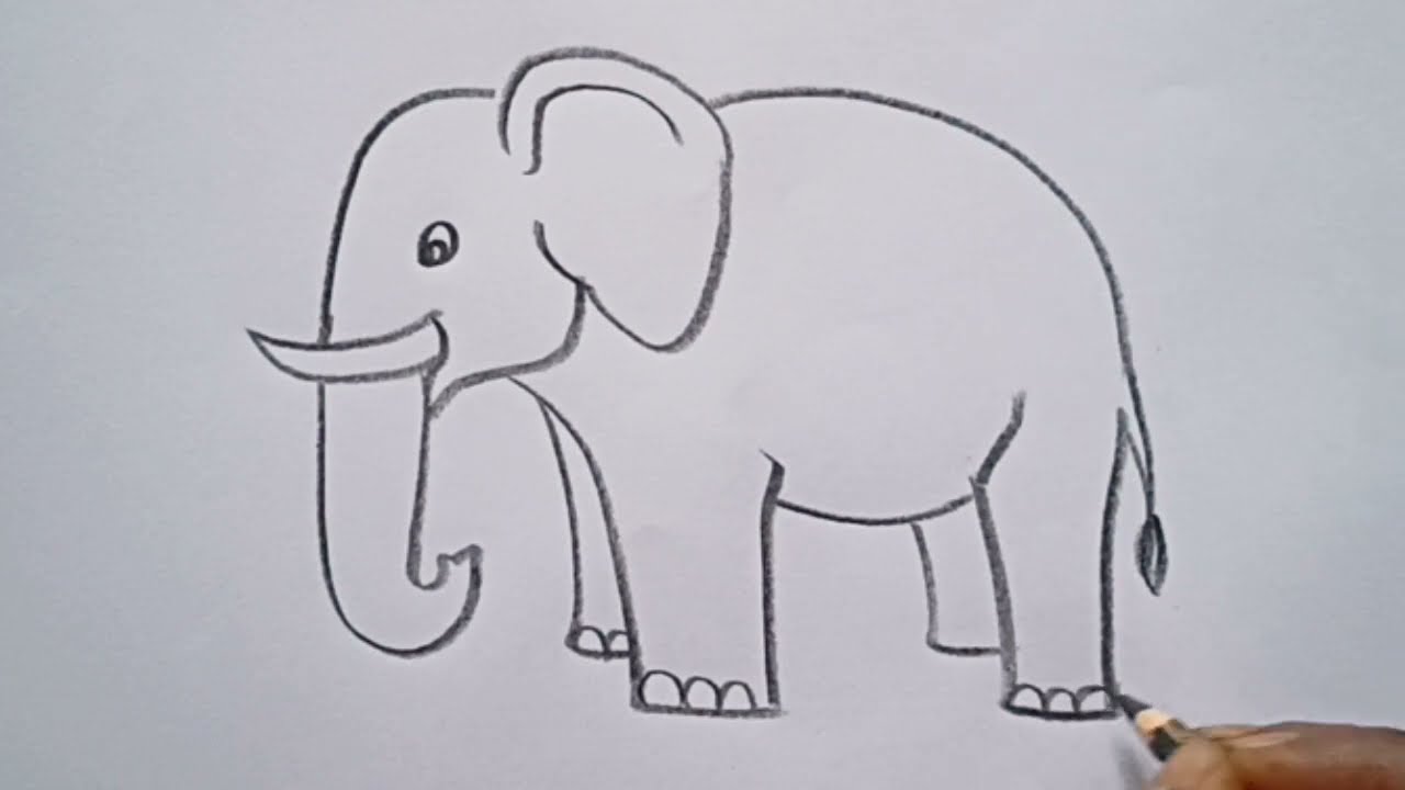 How to Draw an Elephant Head  Easy Drawing Art