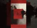 I’ll never let you go #bobmoses #electronicmusic #onmymind #notredame