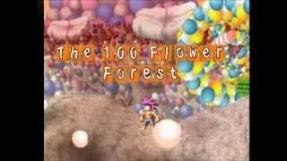 Tombi! walk - Capitolo14: THE 100 FLOWER FOREST