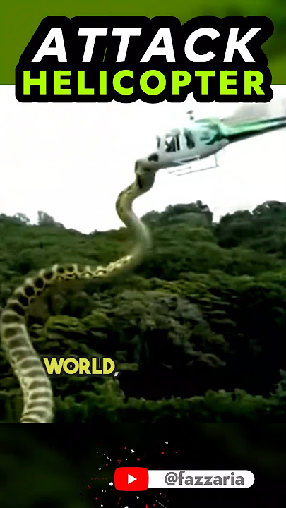 Titanoboa snake attack helicopter #animals #film #movie #snake #shorts