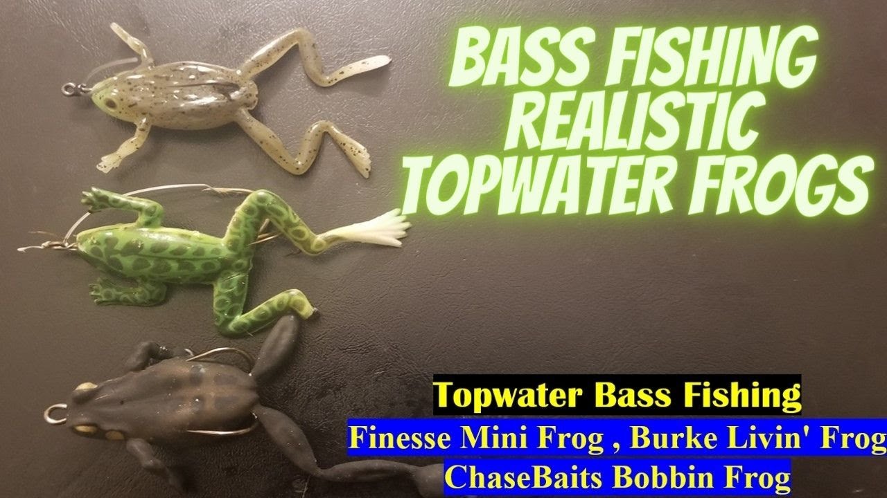 bass fishing frog bait Realistic Frog Lures Burke Frog Chasebait