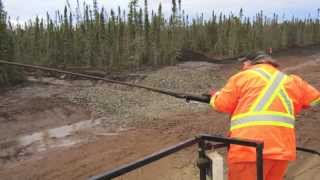 PR 373 3 full years later, biotic earth black works.
