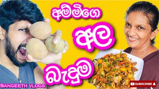 අල බැදුම|How to make ala baduma- Sangeeth Vlogs|Sangeeth Satharasinghe