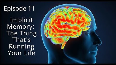 11 Implicit Memory: The Thing That