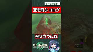 ティアキン】コログ空を飛ぶ！ロケット編！【ゼルダの伝説 ティアーズ 