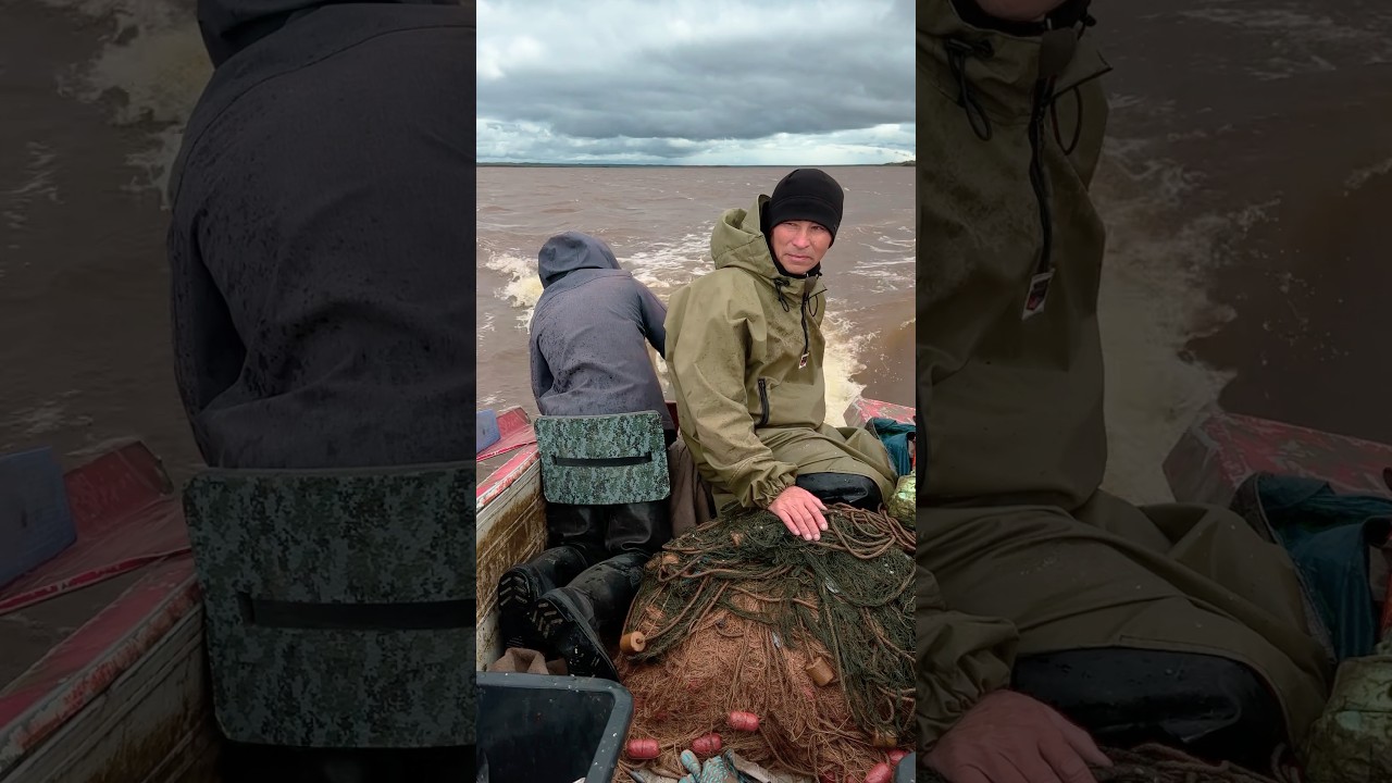 480 кг рыбы за один плав! Ямальский рыбак рассказывает про улов и щекура