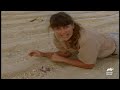 Steve Irwin’s Encounters with Sea Creatures | The Crocodile Hunter | Animal Planet