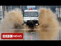 New video by BBC News on YouTube
