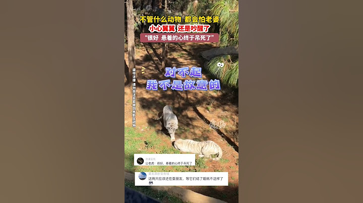 母老虎不敢惹，公老虎直接倒下，其实是认输的意思
