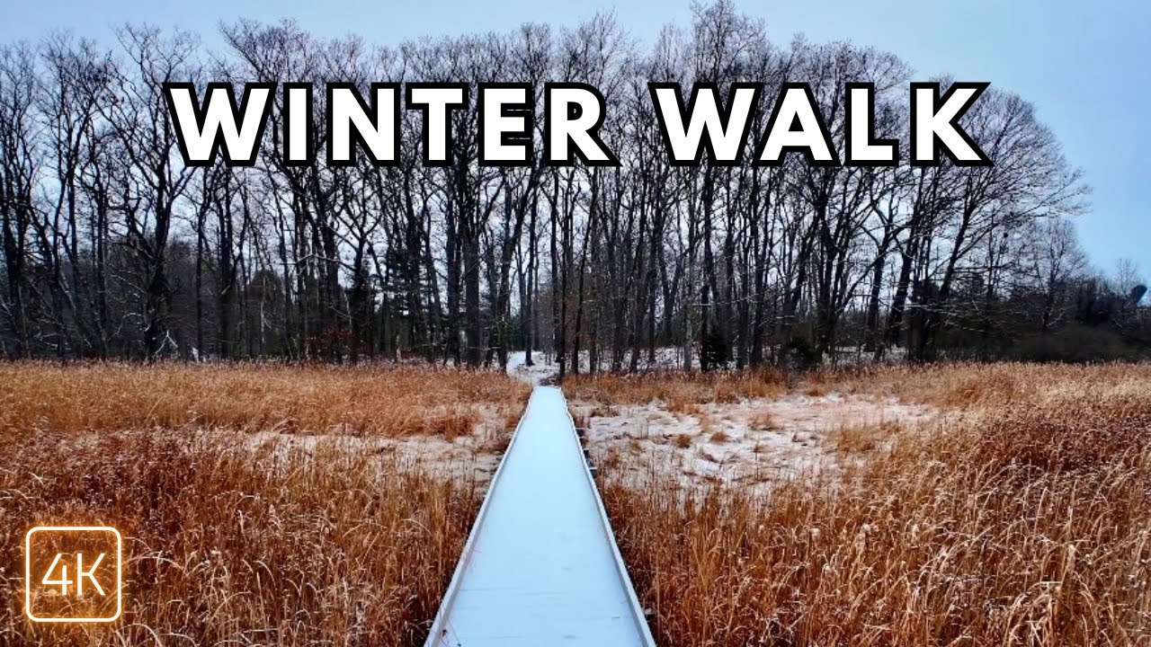 Peaceful Winter Soundscape | Walking Snowy Trails in Cape Elizabeth