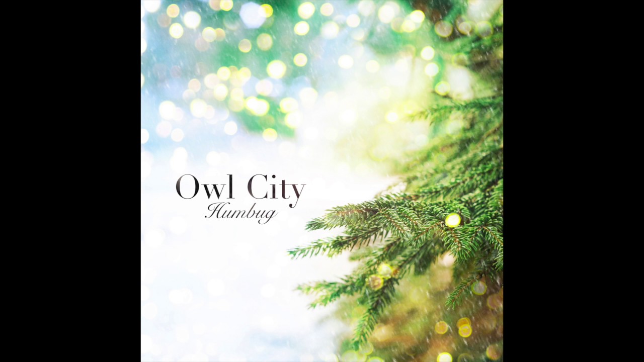 Owl City クリスマス ソング Humbug をフリーダウンロードで公開 Indienative