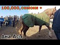 ЛОШАДЬ " АСПБОЗОРИ ДУШАНБЕ АНА НАРХИ АСПА БИНЕД апреля 2021 г.