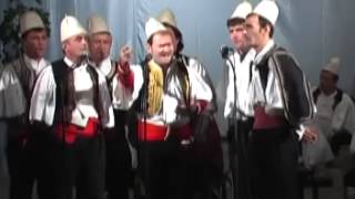 Grupi i Delvines