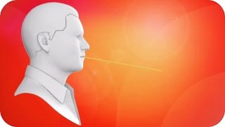 Lspießer Die Perfekte Minute 2014 Sat.1